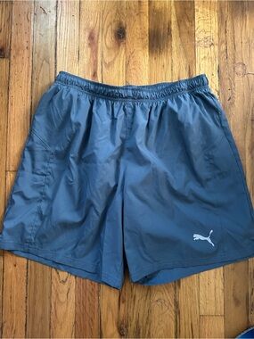 Puma Slate Blue Casual Athletic Shorts